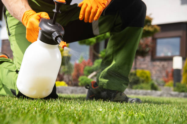 Best Exterminator Services  in Tekamah, NE