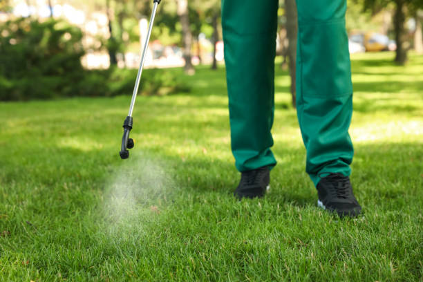 Best Termite Control Services  in Tekamah, NE