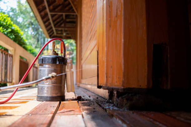 Wasp Removal Services in Tekamah, NE
