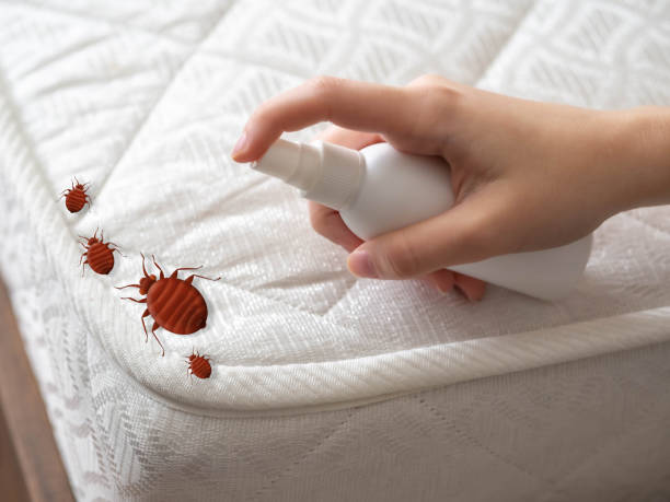Best Emergency Pest Control  in Tekamah, NE